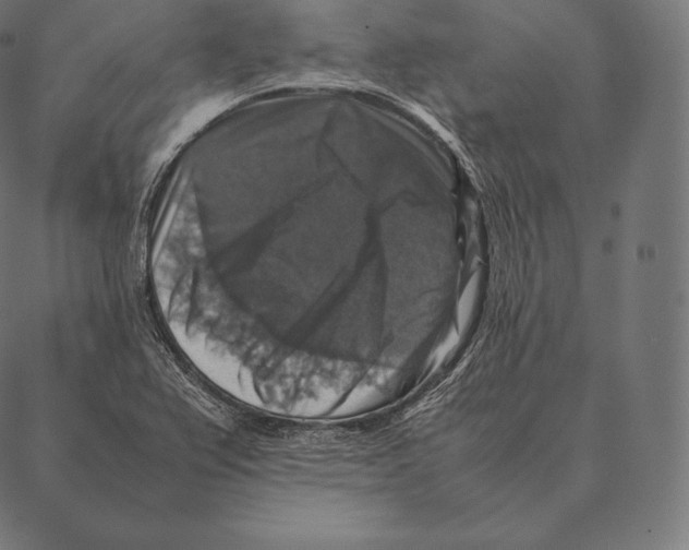 X0000087371367200705181206