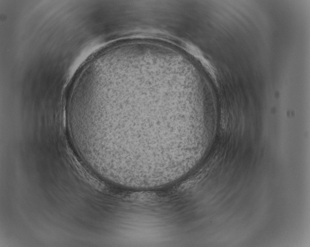 X0000087371368200705181206