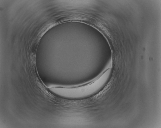 X0000087371369200705181206