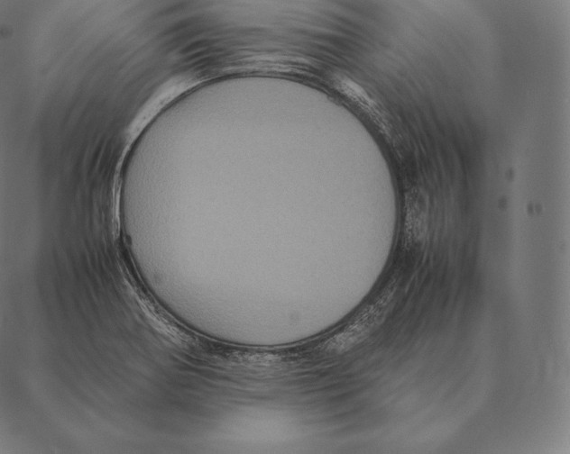 X0000087371370200705181206