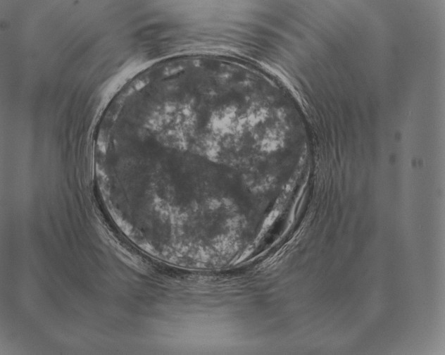 X0000087371371200705181206