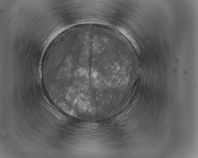 X0000087371372200705181206