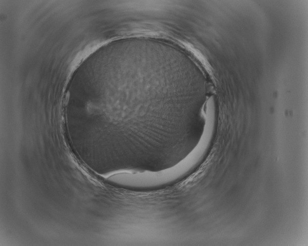 X0000087371373200705181206