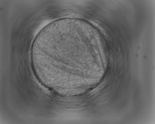 X0000087371375200705181206