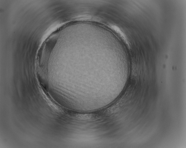 X0000087371376200705181206