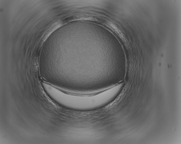 X0000087371377200705181206