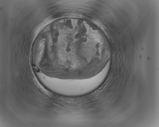 X0000087371379200705181206