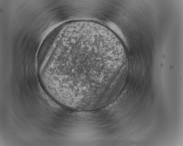 X0000087371380200705181206