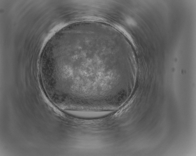 X0000087371381200705181206