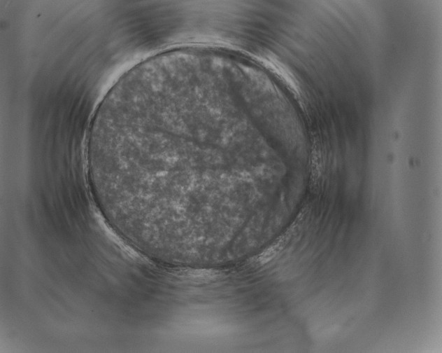 X0000087371382200705181206