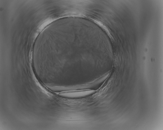 X0000087371383200705181206