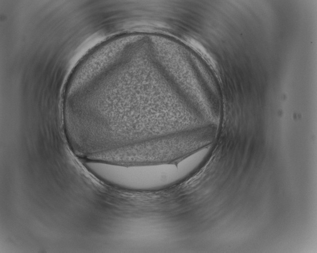 X0000087371384200705181206