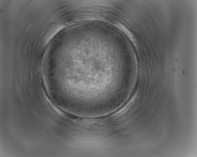 X0000087371385200705181205