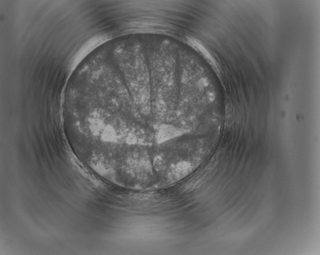 X0000087371386200705181205