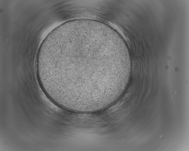 X0000087371387200705181205