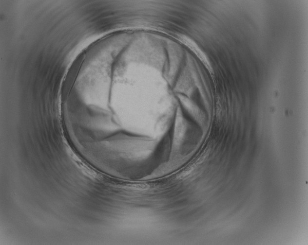 X0000087371388200705181205