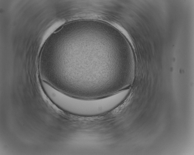 X0000087371389200705181205