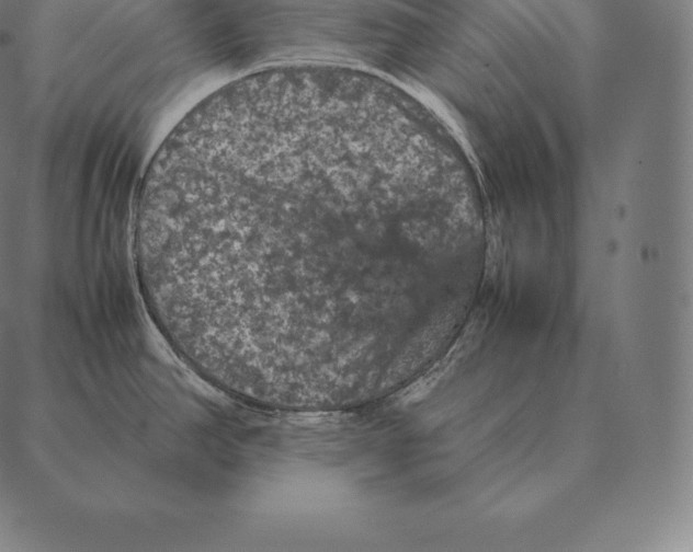 X0000087371390200705181205