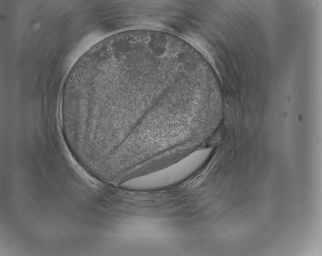 X0000087371391200705181205