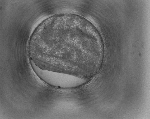 X0000087371392200705181205