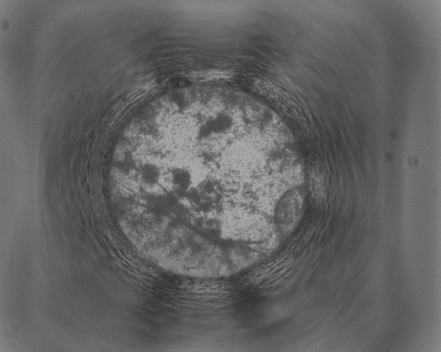 X0000087371393200705181205