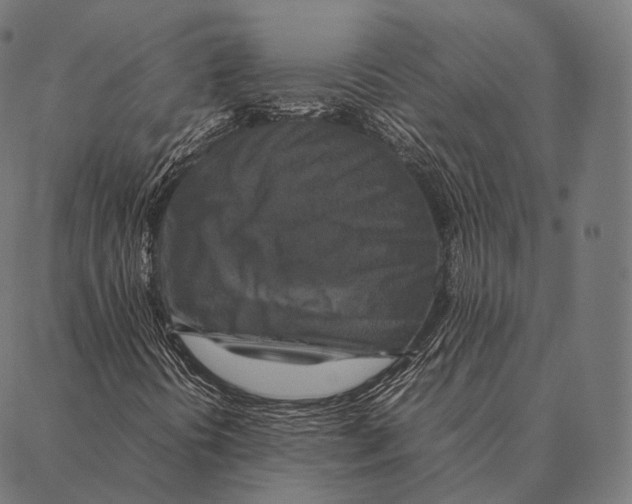 X0000087371394200705181205