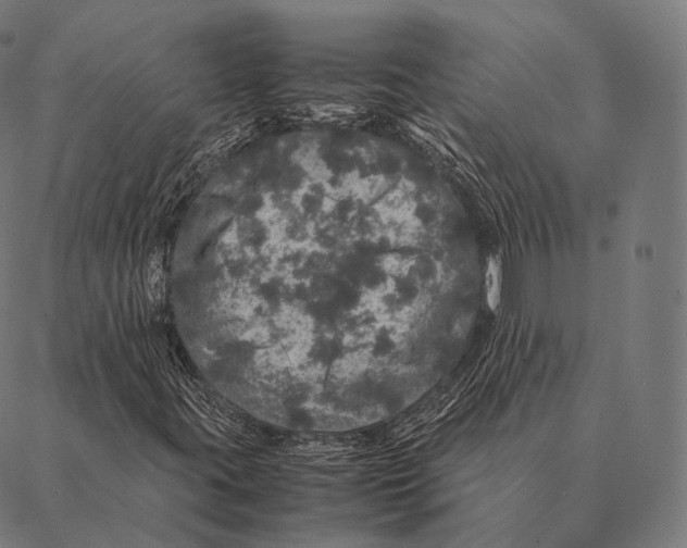 X0000087371395200705181205