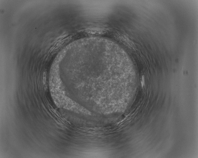 X0000087371396200705181205