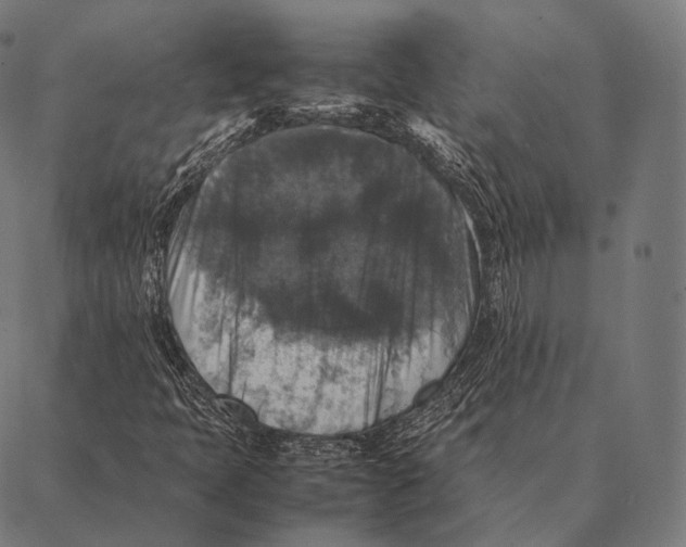 X0000087371397200705181205