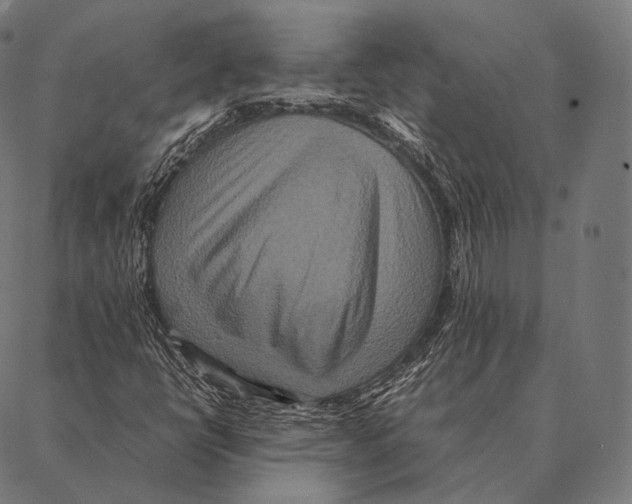 X0000087371398200705181205