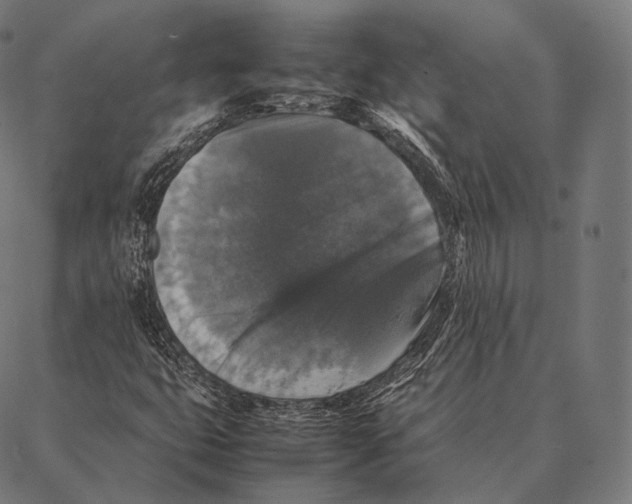 X0000087371399200705181205