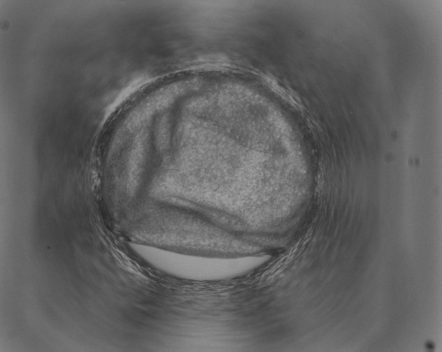 X0000087371400200705181205