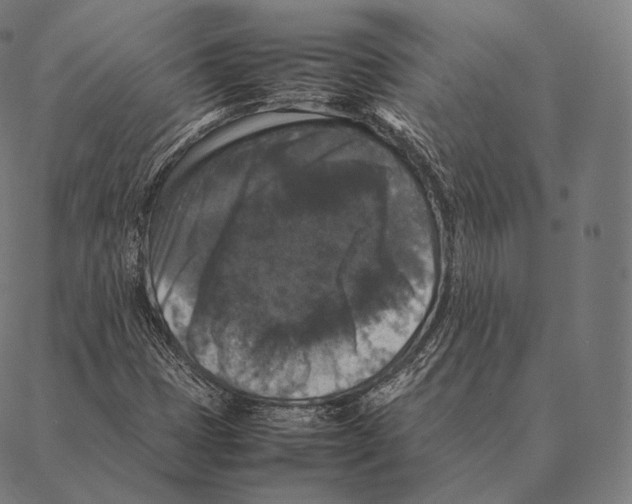 X0000087371401200705181205