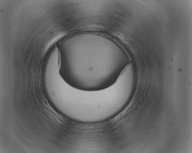 X0000087371402200705181205