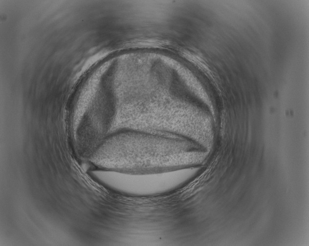 X0000087371404200705181205