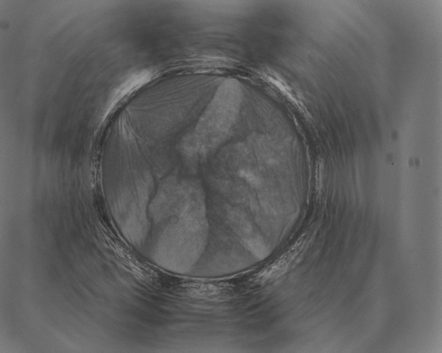 X0000087371405200705181205