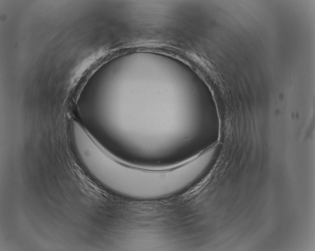 X0000087371406200705181205