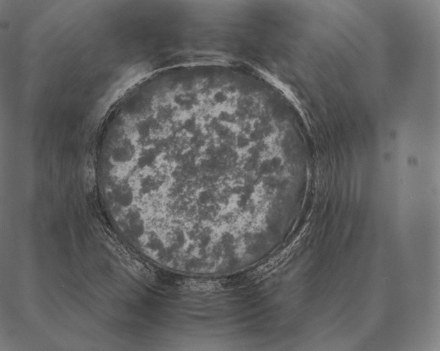 X0000087371407200705181205