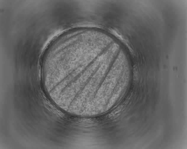 X0000087371408200705181205