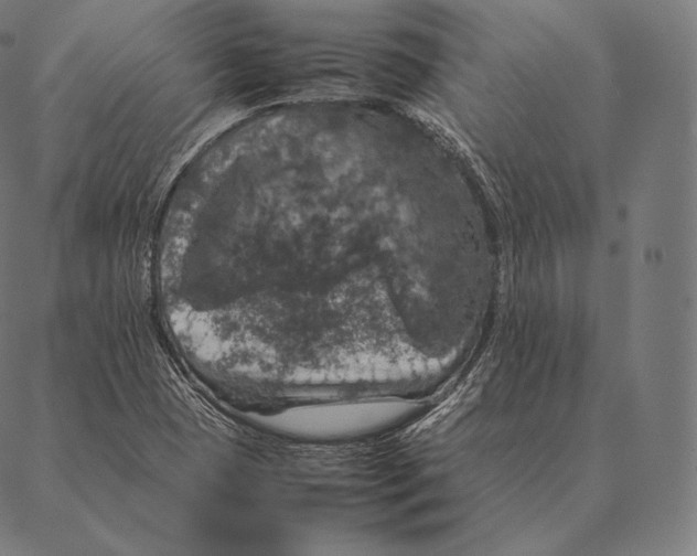 X0000087371409200705181205