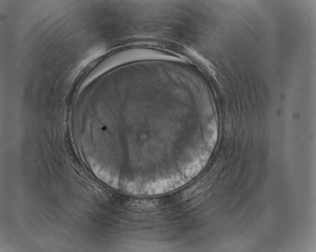 X0000087371411200705181205