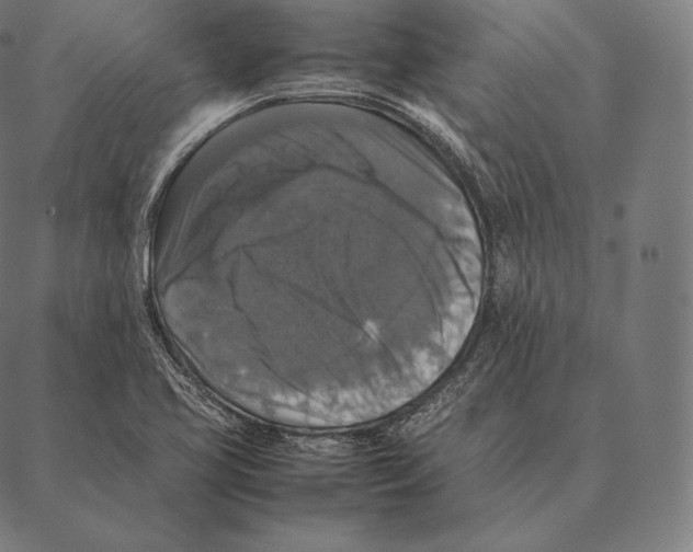 X0000087371413200705181205