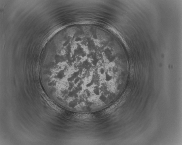 X0000087371417200705181205