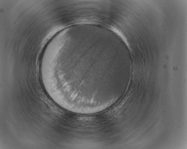 X0000087371419200705181205