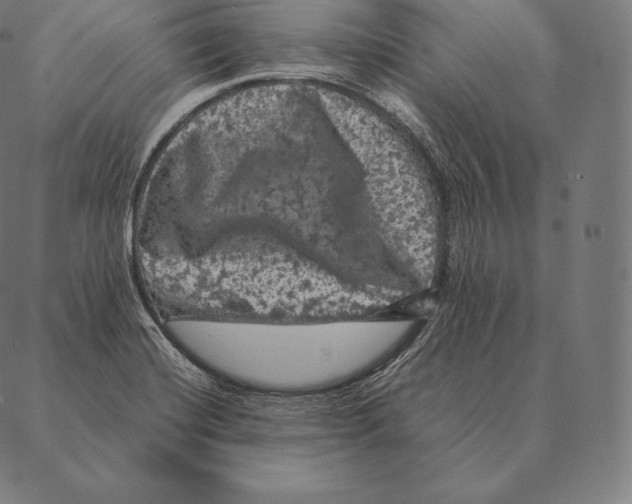 X0000087371420200705181205