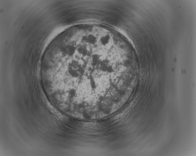 X0000087371421200705181205