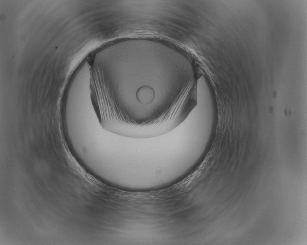 X0000087371422200705181205