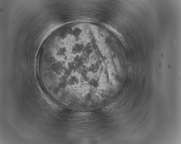 X0000087371423200705181205