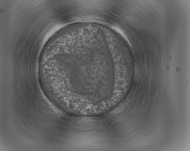 X0000087371424200705181205