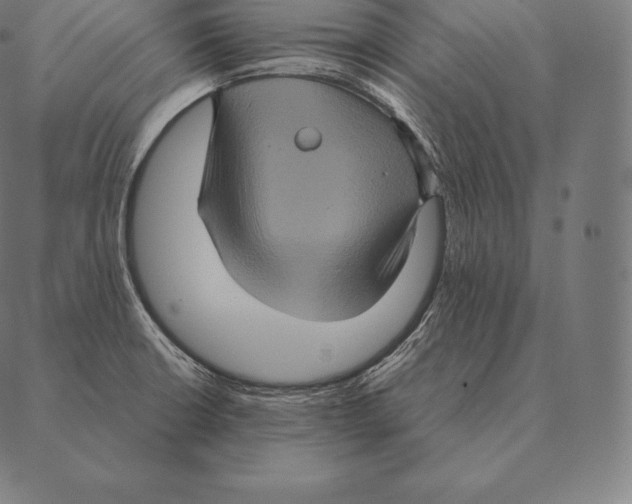 X0000087371426200705181205